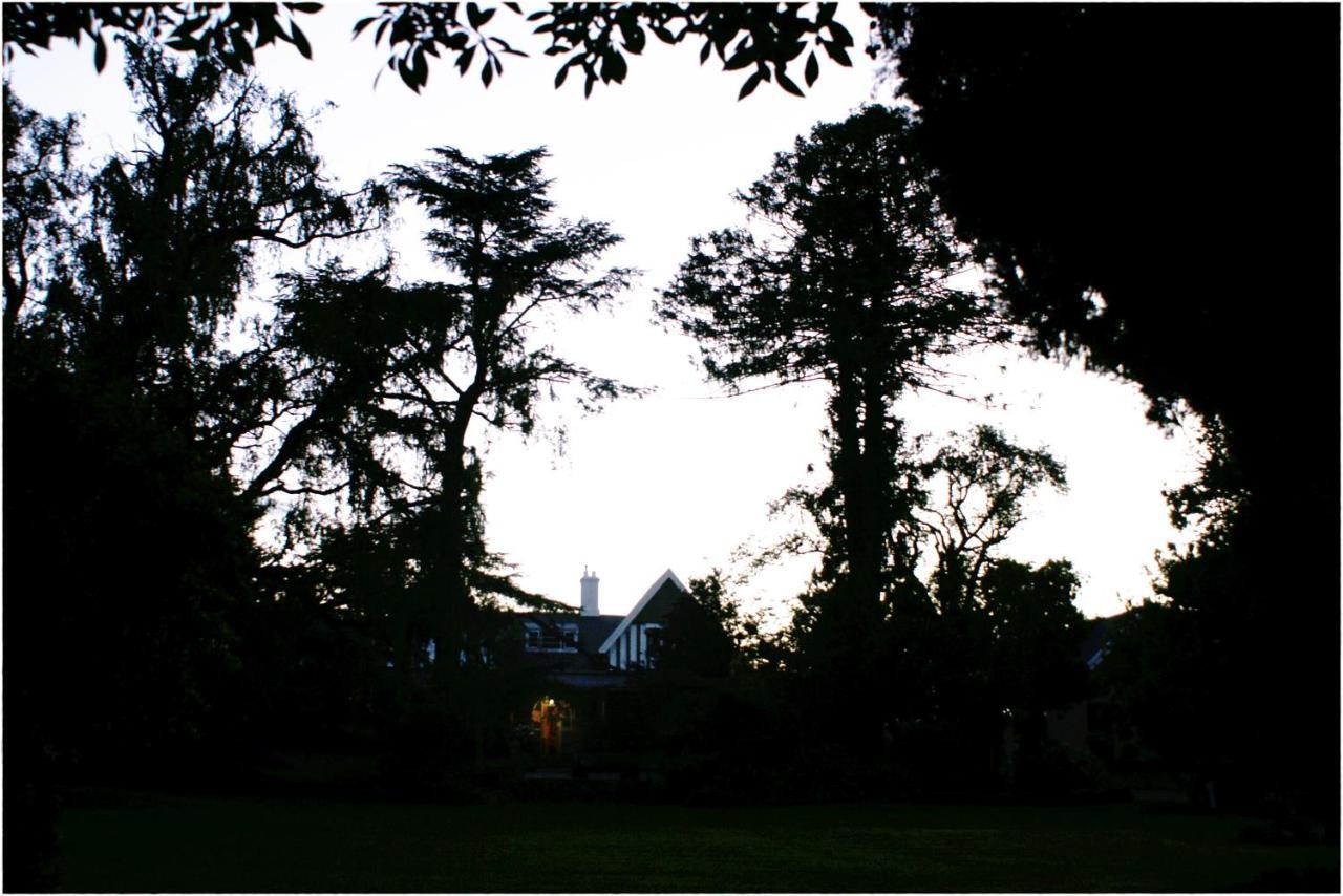Shady Pines Guest House Harrismith Εξωτερικό φωτογραφία