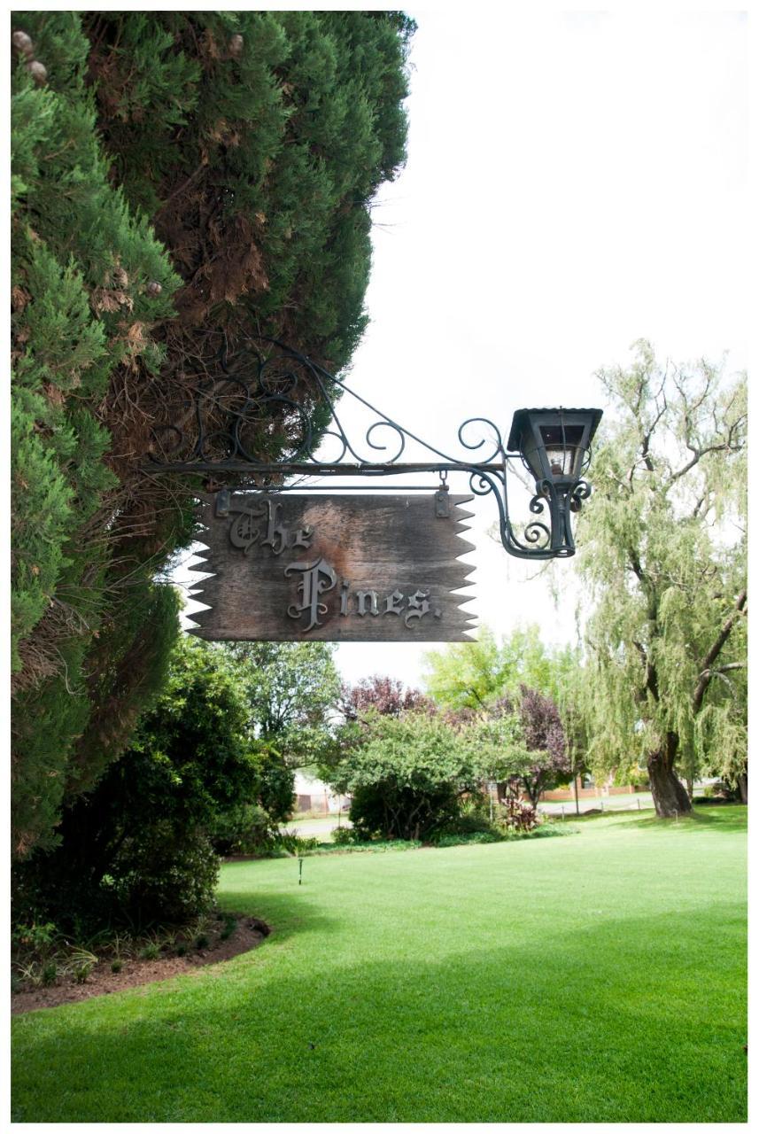 Shady Pines Guest House Harrismith Εξωτερικό φωτογραφία
