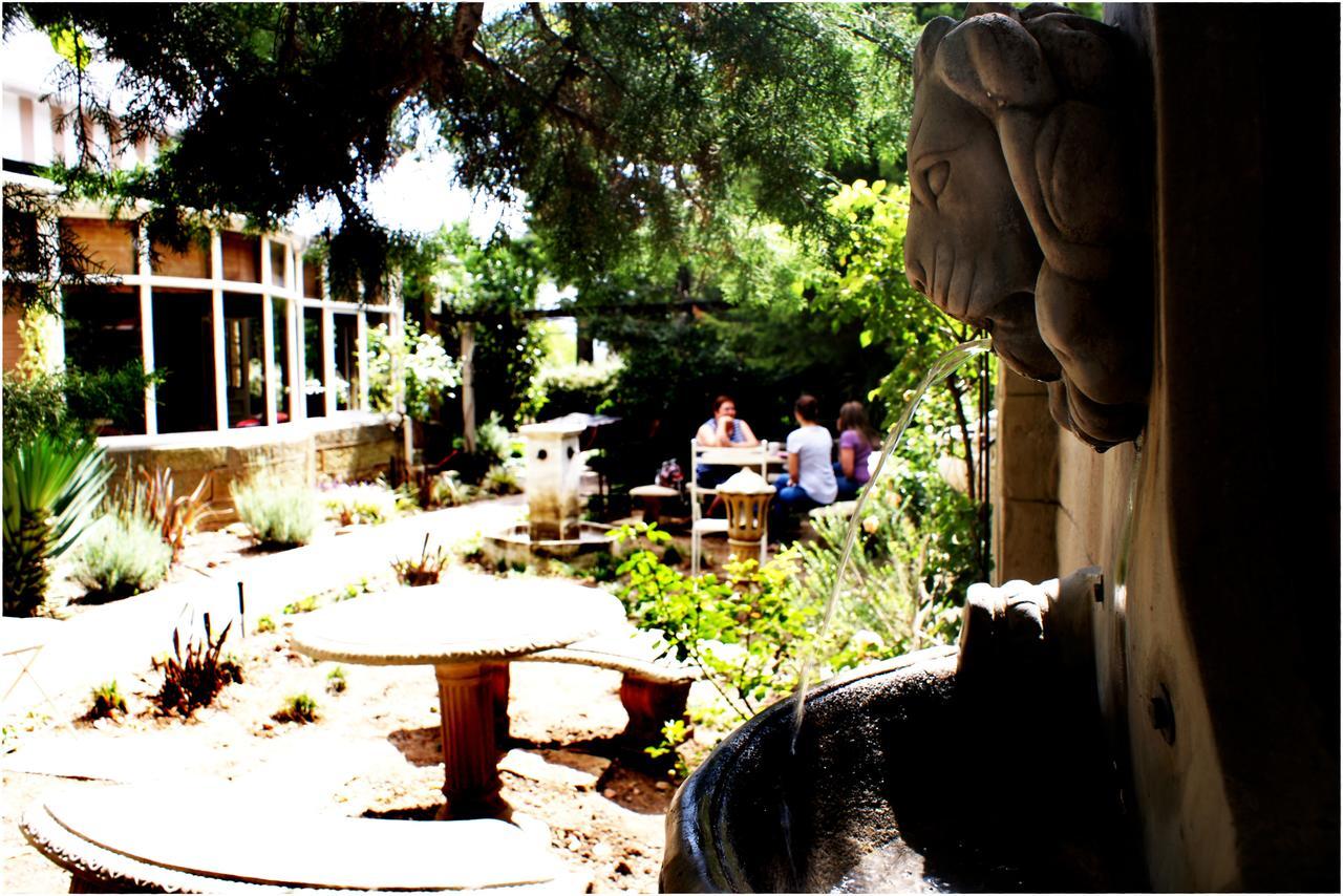 Shady Pines Guest House Harrismith Εξωτερικό φωτογραφία